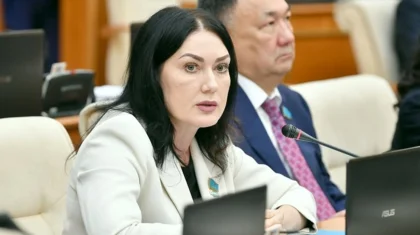 Президент лично поддерживает вопрос ужесточения наказания за семейно-бытовое насилие – депутат