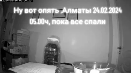 Землетрясение, произошедшее ранним утром в Алматы, попало на видео