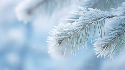 Снег и туман – о погоде в Казахстане 28 февраля