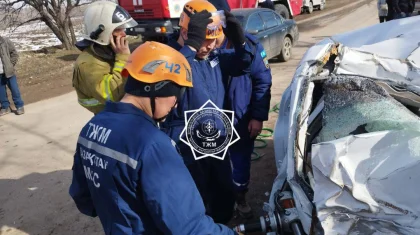 Врезался в дерево: спасатели МЧС извлекли тело пассажира из автомобиля
