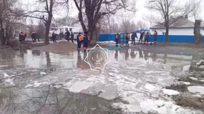 Дворы частных домов затопило талыми водами в Жетысуской области