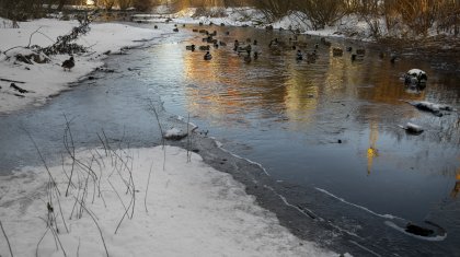 В Семее предложили объявить режим ЧС природного характера