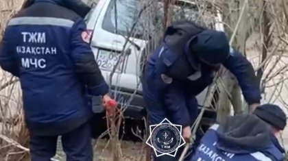 Семь человек, застрявших в реке, спасли в Алматинской области. Видео