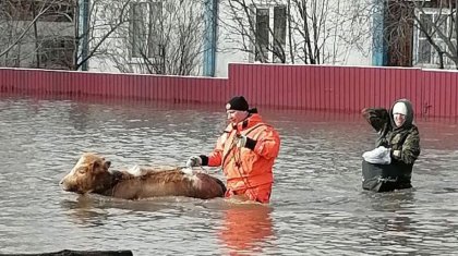 Паводки в России: подтоплены сотни домов и приусадебных участков