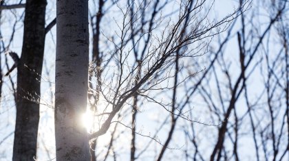 До +20 градусов: потепление и ясную погоду в Казахстане прогнозируют синоптики