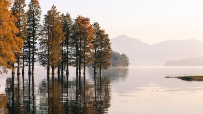 Рекордный приток воды из России ожидается на западе Казахстана