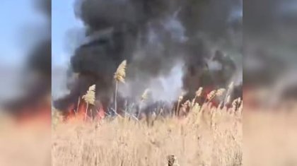 Пожар вспыхнул на границе Казахстана и Кыргызстана