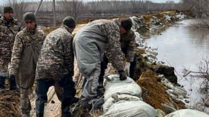 Из-за угрозы подтопления укрепляют границы поселка близ Астаны