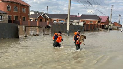 Паводки в Казахстане: что известно к этому часу