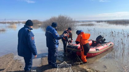 Паводки в Казахстане: спасены больше 107 тысяч человек