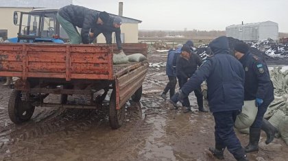 «Вместе мы обязательно преодолеем все трудности»: депутаты от AMANAT помогают пострадавшим от паводков