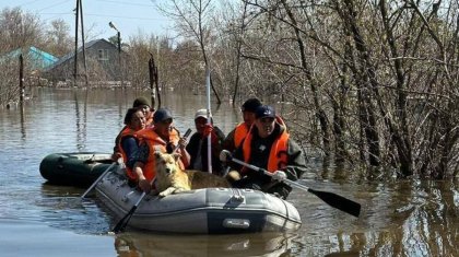 Половодье в Казахстане: о ситуации к этому часу рассказали в МЧС