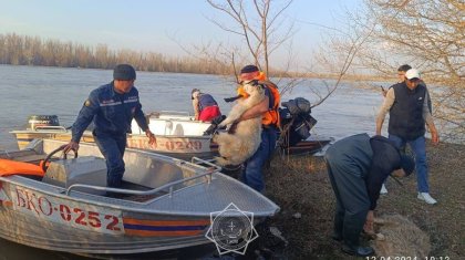 Половодье в Казахстане: что известно к этому часу