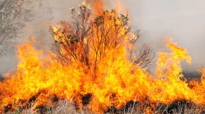 Чрезвычайную степень пожарной опасности в Казахстане прогнозируют синоптики