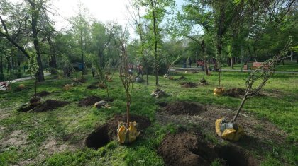 «Алматы – город-сад»: посади дерево в своем любимом городе