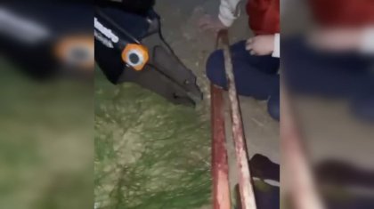 Спасателей вызвали на детскую площадку для помощи 4-летнему мальчику