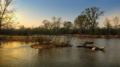 Уровень воды в реке Урал превысил критическую отметку в двух селах Атырауской области