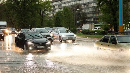 Синоптики предупредили о высокой пожарной опасности в 7 областях Казахстана