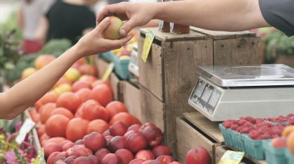 Повлияли ли масштабные паводки на стоимость продуктов в Казахстане?