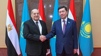 Мажилис посетил председатель Сената Египта