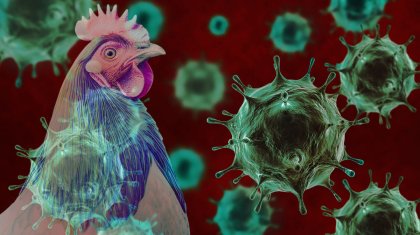 Первый заразившийся птичьим гриппом H5N2 человек скончался в Мексике