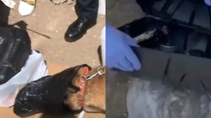 Получали наркотики из-за границы: задержания провели в трех городах Казахстана (ВИДЕО)