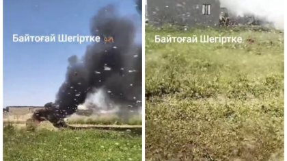 Нашествие саранчи сняли на видео жители Туркестанской области