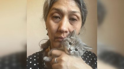 «Сфабриковали и подставили»: зоозащитница обвинила суд Алматы в несправедливости