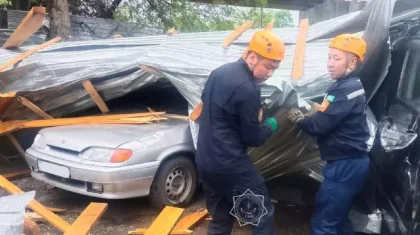 Мужчину с ребенком зажало в автомобиле, на который упало дерево в Актобе