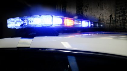 Авто влетело в дерево в Алматинской области: 5 взрослых погибли, ребенок пострадал
