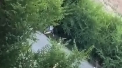 Спящую женщину в кустах пытались изнасиловать в Талдыкоргане (ВИДЕО)