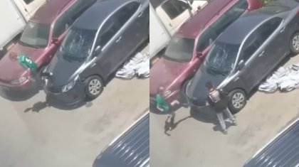 Дети разгромили припаркованную на стоянке машину в Алматы (ВИДЕО)