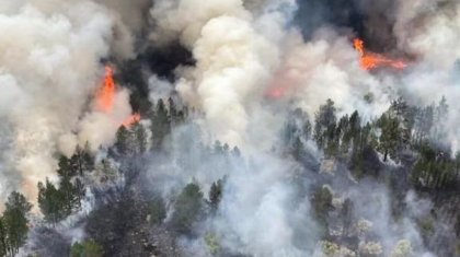 Семья погибшего во время пожара в «Семей орманы» лесника не получает пособие