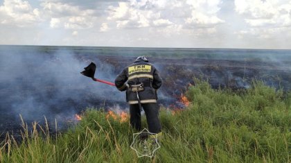 Новый комитет создали в МЧС Казахстана