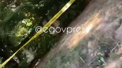 Труп женщины нашли около больницы в Алматы (ВИДЕО)