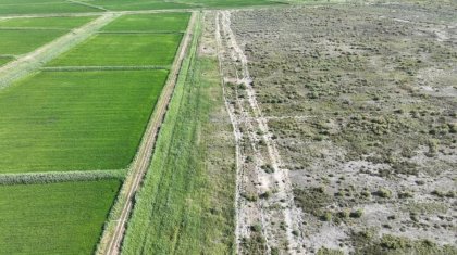 Компанию оштрафовали на крупную сумму за вырытую траншею в Кызылординской области