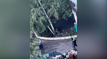 Парень спрыгнул с 16-го этажа и разбился насмерть в Павлодаре