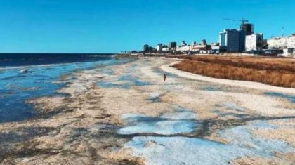 Участок побережья Каспия вернули государству в Мангистауской области