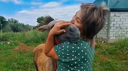 Потерял маму: видео с женщиной, успокаивающей жеребенка, растрогало Казнет