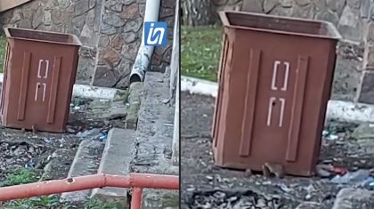 Видео с прыгающими на улице в Павлодаре крысами появилось в Сети