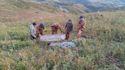 Сбор ягод закончился трагедией для жителя ВКО