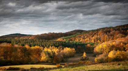 Какая погода ждет казахстанцев 11 сентября