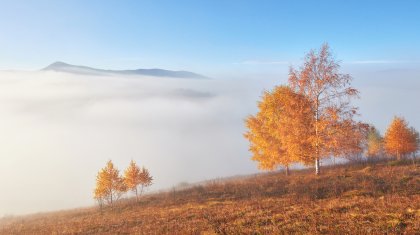 В каких регионах Казахстана объявили штормовое предупреждение