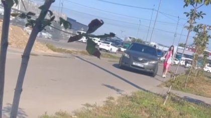 «Мартовские коты вылезли из заморозки»: авто преследовало девушку по тротуару в Алматы