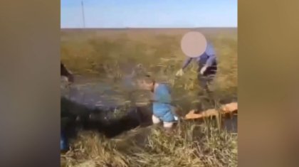 Залез в воду: фельдшер пришел на помощь водителю в Костанайской области (ВИДЕО)