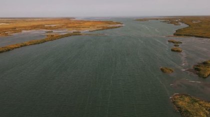 Втрое больше воды поступило в Аральское море – Минводы