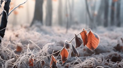 Резкое похолодание в Казахстане прогнозируют синоптики