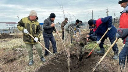 Ответственность за свою Родину: партия «AMANAT» продолжает акцию «Таза бейсенбі»