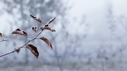 В каких регионах Казахстана объявили штормовое предупреждение