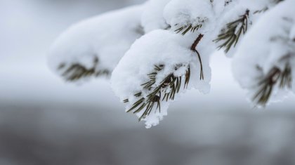 Какая погода ждет казахстанцев 10 ноября